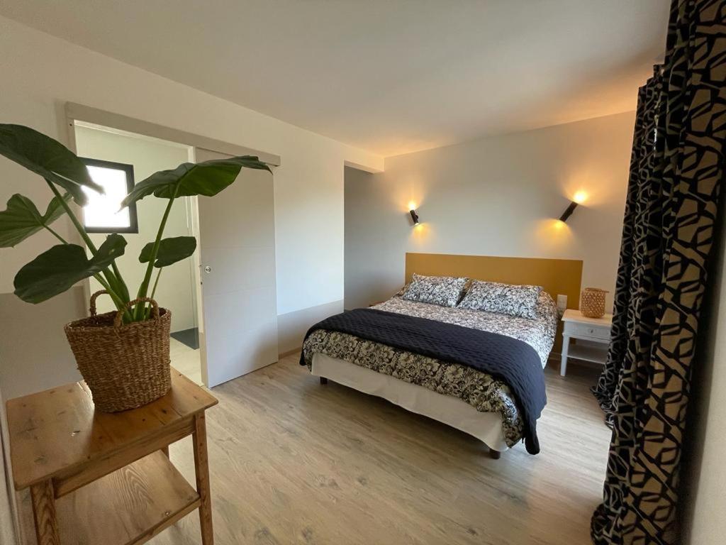 Appartement Neuf Et Moderne Au Coeur De La Camargue Saint-Laurent-dʼAigouze Exteriör bild